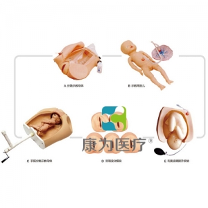 “康為醫(yī)療”高級腹部觸診、分娩機(jī)轉(zhuǎn)綜合模型