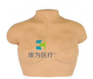 “康為醫(yī)療”高級(jí)乳房按摩模型,乳房按摩模型