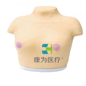 “康為醫(yī)療”高級乳腺視診與觸診模型,乳腺癌視診與觸診操作模型