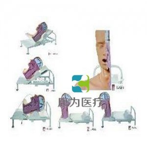 “康為醫(yī)療”高級吞咽機制模型