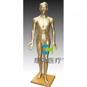 “康為醫(yī)療”針灸銅人178CM