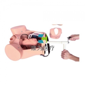 “康為醫(yī)療”KANGWAY高級分娩綜合技能訓練模型(分娩醫(yī)生訓練模型)