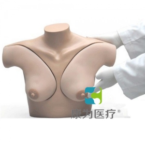 “康為醫(yī)療”乳房觸診模型