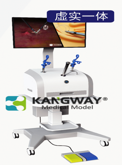 腹腔鏡下膽囊切除虛實(shí)結(jié)合模擬系統(tǒng) Virtual reality combined simulation system for cholecystectomy MODEL：SynDaver6510系列 品牌：SynDaver 辛達(dá)弗機(jī)器人